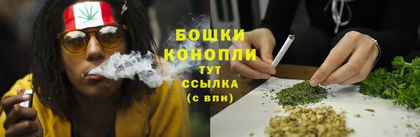 spice Абаза
