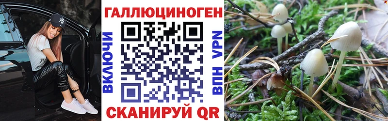 купить наркоту  Лесозаводск  Галлюциногенные грибы GOLDEN TEACHER 