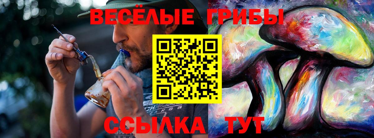 Лесозаводск  Псилоцибиновые грибы Psilocybe  купить наркотик  Вход с VPN 